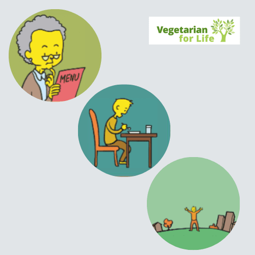 <strong></noscript>Creating a new Talking Mat resource for older vegetarians and vegans receiving care</strong> 
